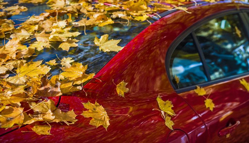 Fall Car Care Maintenance